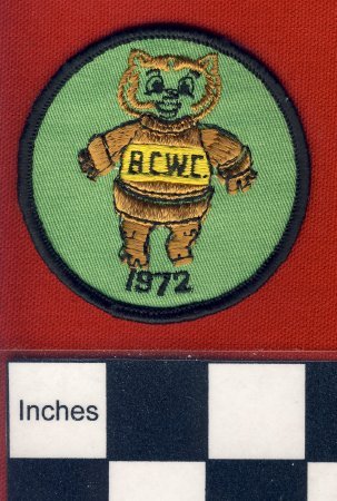 Patch                                   
