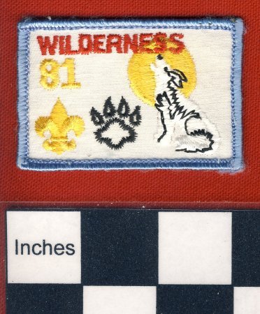 Patch