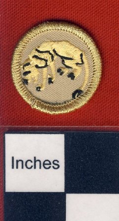 Patch