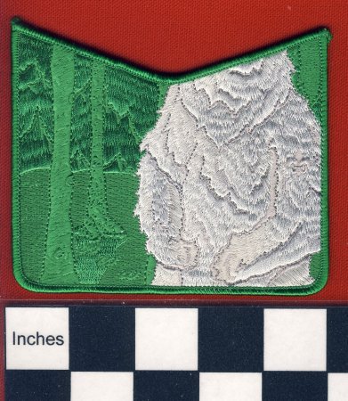 Patch