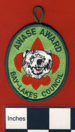 Patch