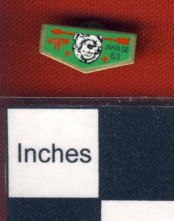 Pin