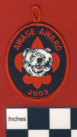 Patch
