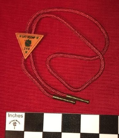 Bolo