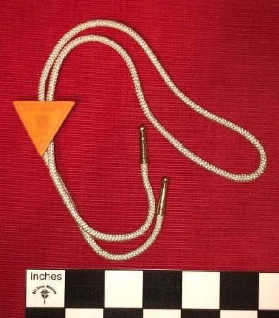 Bolo