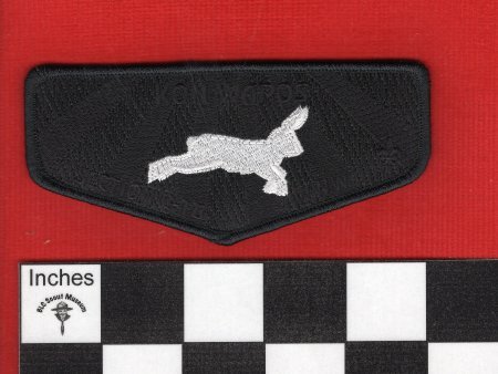 Patch