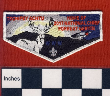 Patch