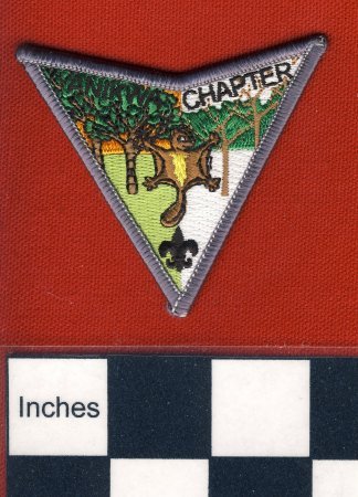 Patch