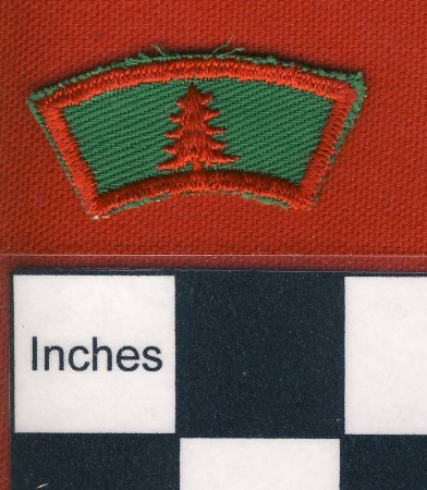 Patch