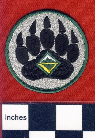 Patch