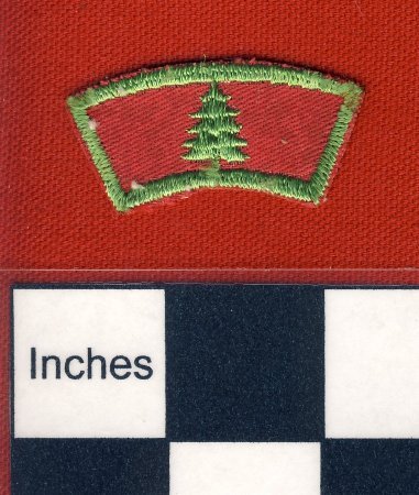 Patch