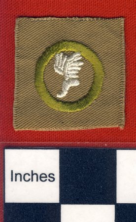 Patch