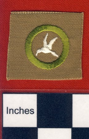 Patch