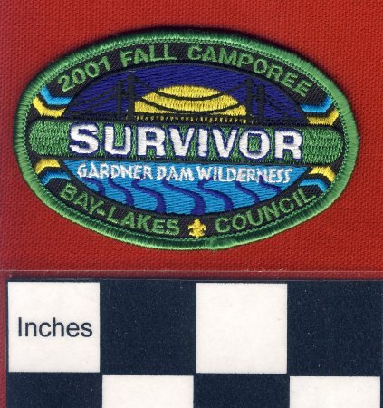 Patch                                   
