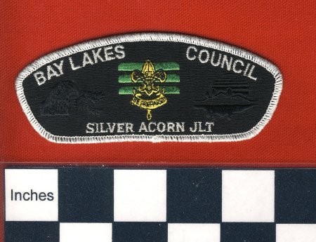 Patch
