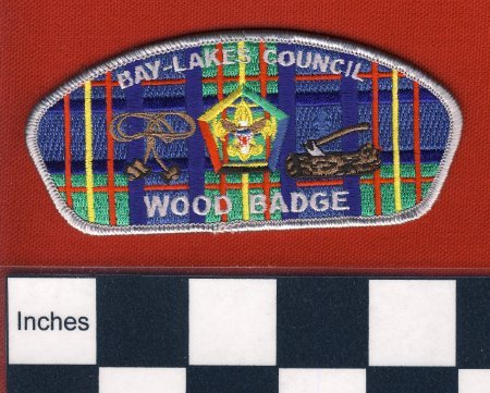 Patch