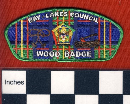 Patch