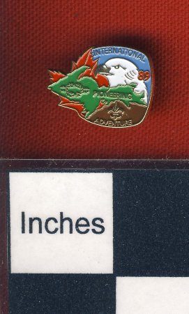 Pin