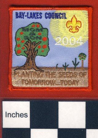 Patch