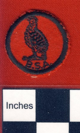 Patch