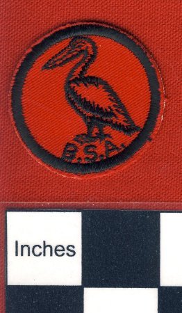 Patch