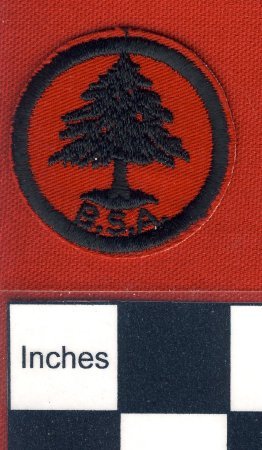 Patch