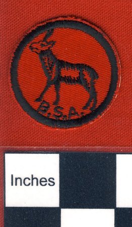 Patch