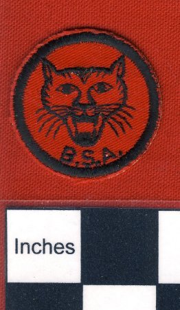 Patch