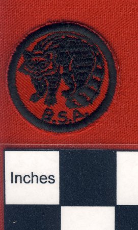 Patch