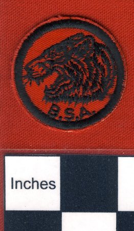 Patch