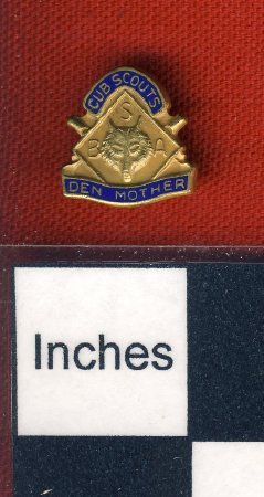 Pin